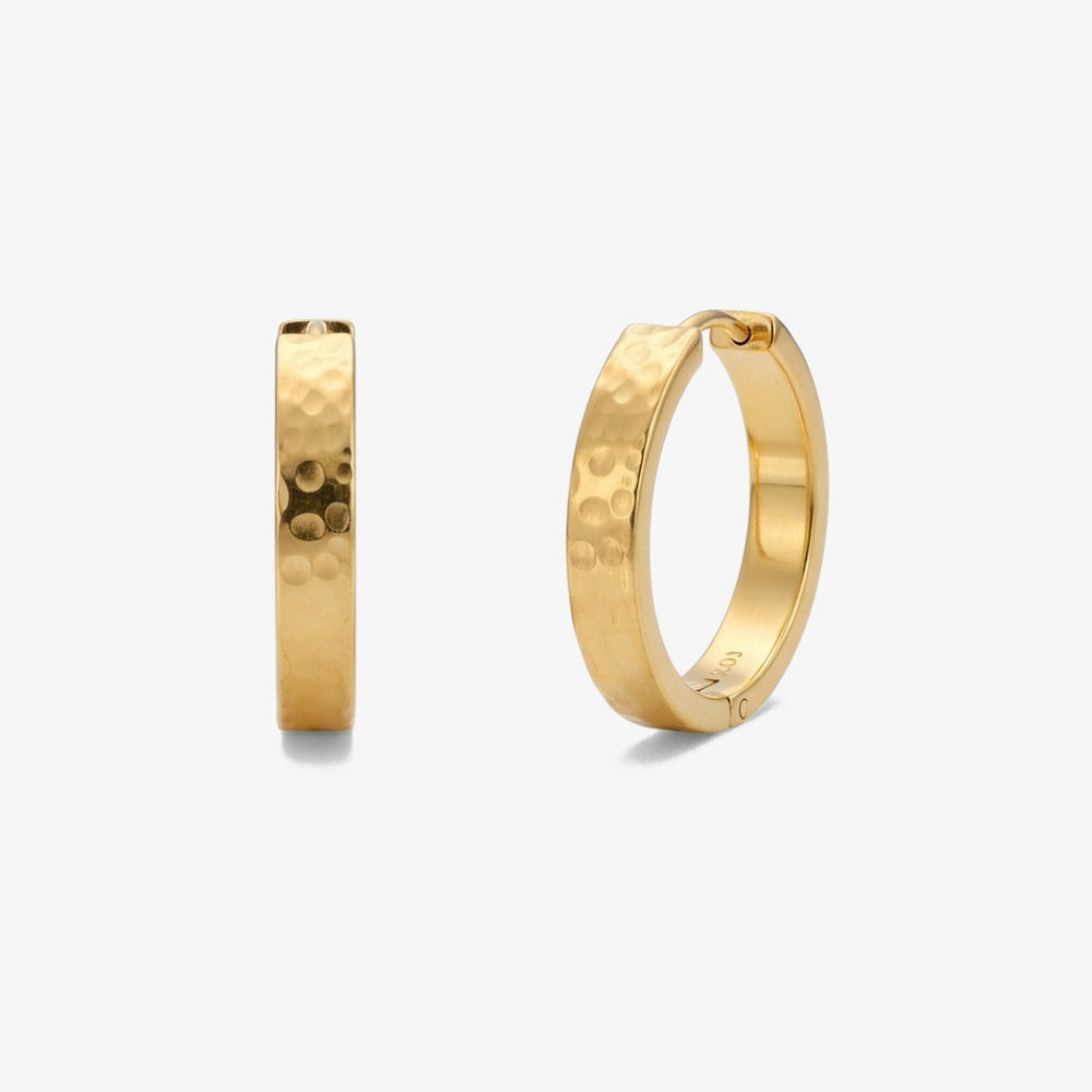 Brincos Essência da Terra dourado