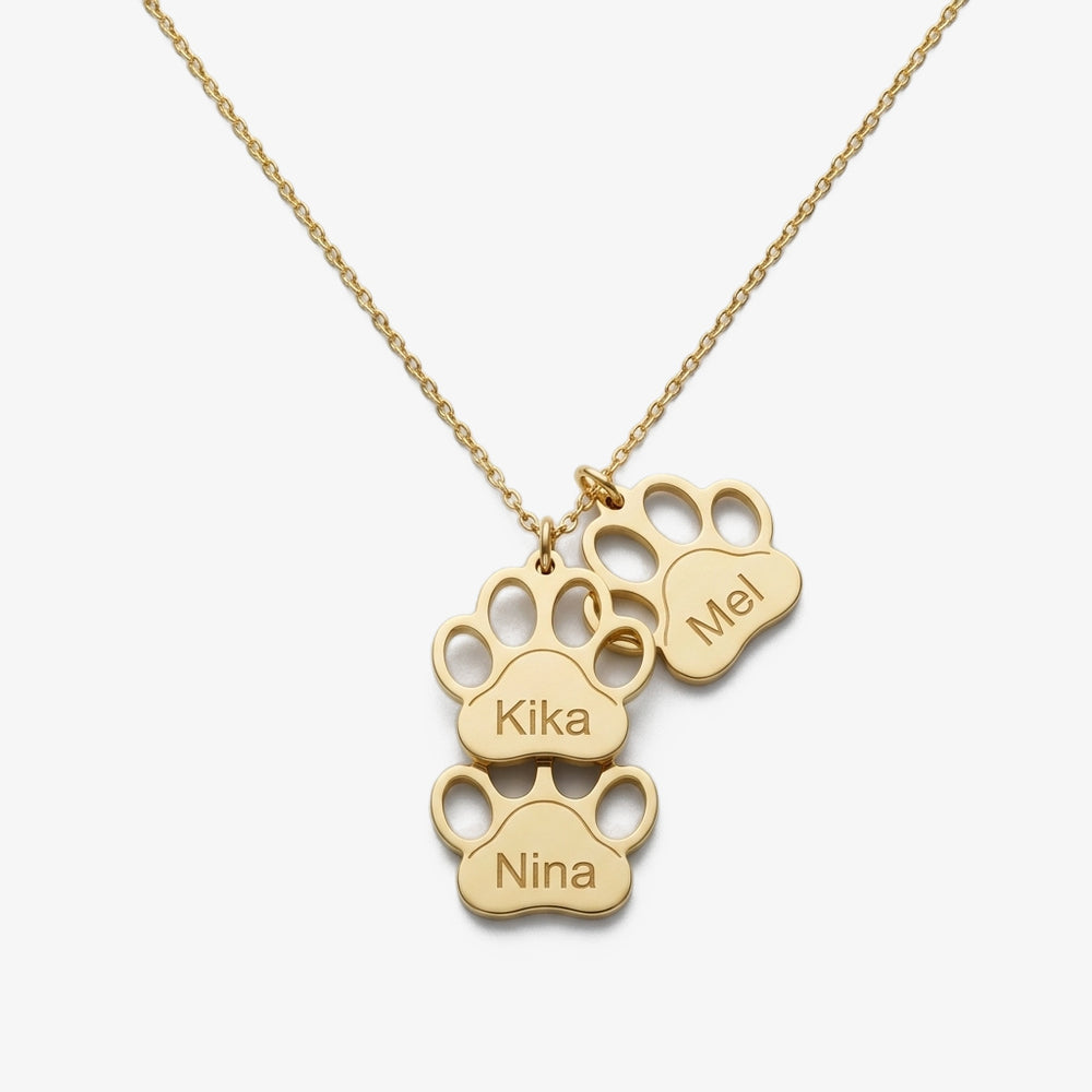 Colar Patinhas com Nome do Animal dourado