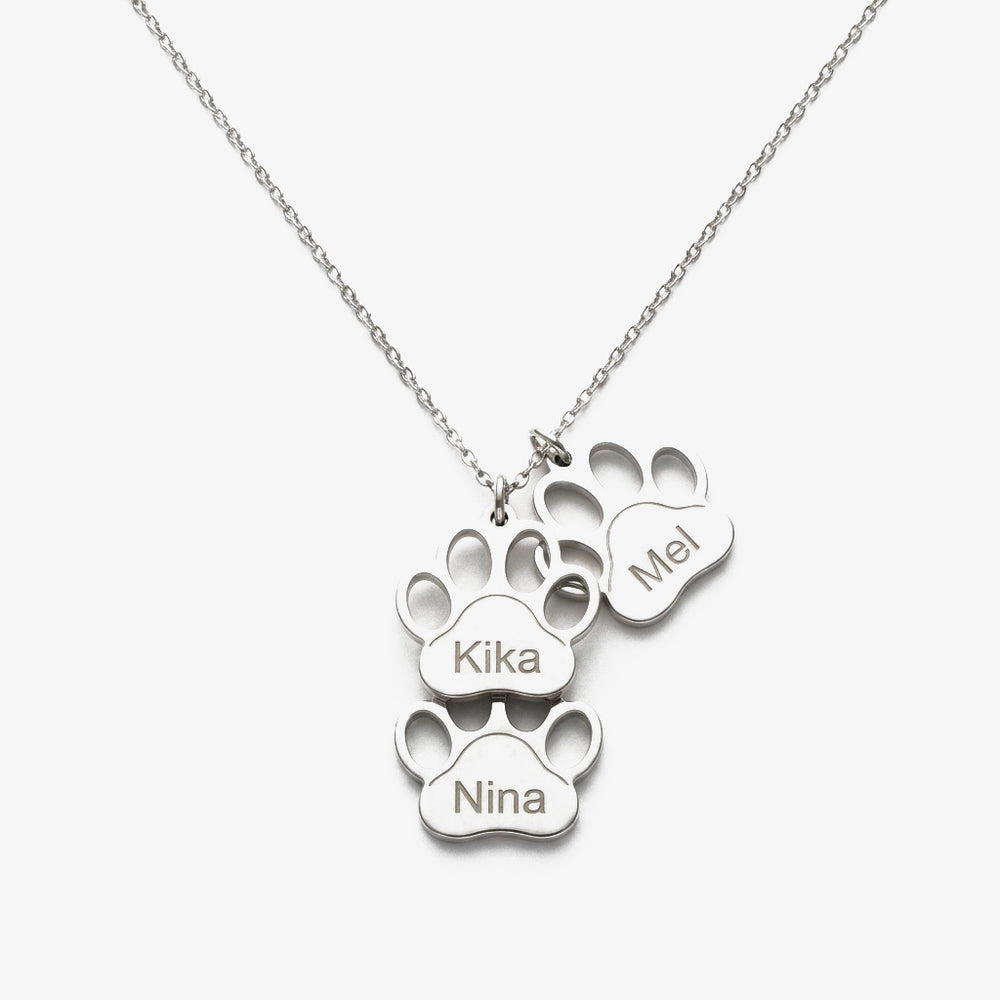 Colar Patinhas com Nome do Animal prateado
