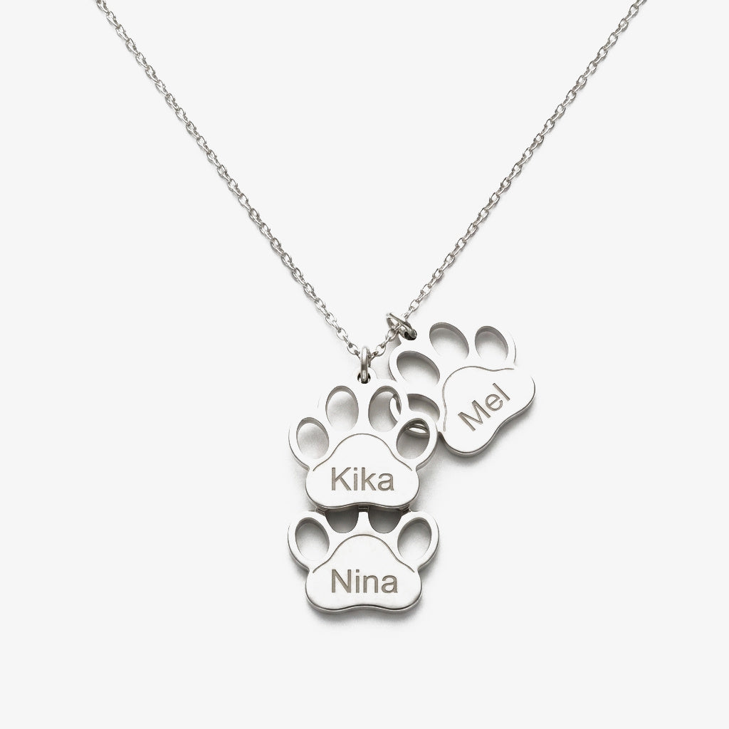 Colar Patinhas com Nome do Animal prateado